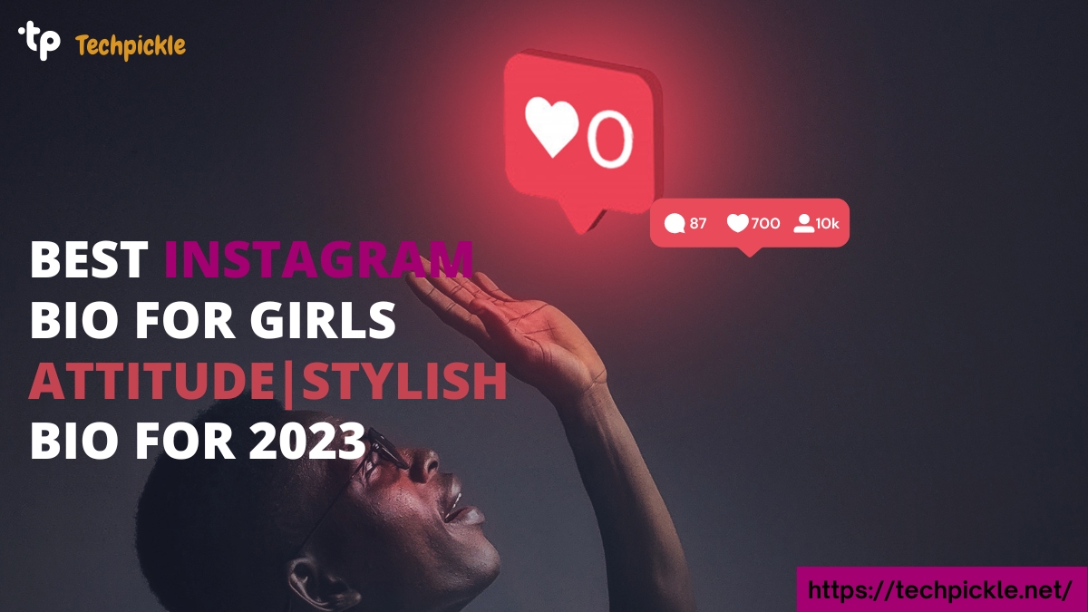 Best Instagram Bio For Girls | Attitude Stylish Bio 2023 - Techpickle.net